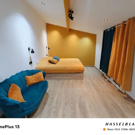 Nouvel Oasis St Cyprien Entierement Renove * Tuluza